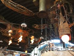 -奥兰多迪士尼动物王国乐园