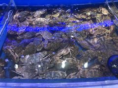 -澜悦港海鲜体验主题餐厅
