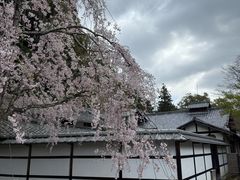 -西芳寺(苔寺)