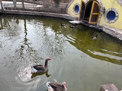 -南宫五洲植物乐园