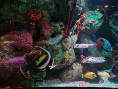 -沈阳海洋探索中心