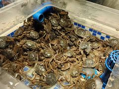-九寸花汀海鲜烤肉自助(中东迪克店)