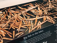 -丹麦国家博物馆