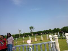 -武汉紫薇都市田园