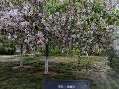 -元大都城垣遗址公园