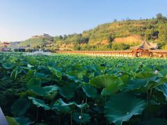 -渭南桃花源民俗文化园