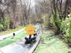 -富斯特索道