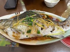 -聂记粤菜馆(鼓西路店)