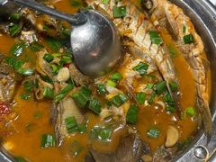 -全乐鱼馆·淳牌有机鱼直营店