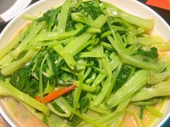 -羽鸽集·乳鸽专门店·地道顺德菜(岭南站店)
