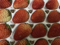 -YO!TEA有茶(科兴科学园店)