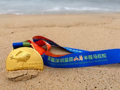 -大梅沙海滨公园
