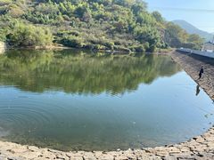 -十里梅乡农庄·进化土鸡