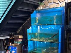 水产区-Thai Basil罗勒叶泰式餐厅(时代天街店)
