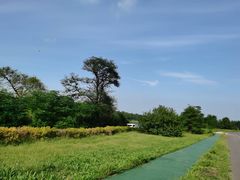 -东海森林温泉度假酒店