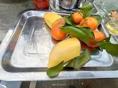 -尚庄度假村·庭台树下·户外烧烤·团建CS·轰趴营地(上庄水库店)