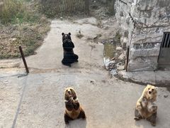 -哈尔滨北方森林动物园