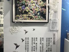 -星空失恋博物馆(双子塔旗舰店)