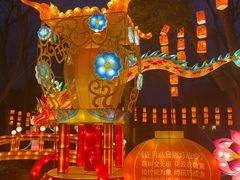 -白鹭洲公园
