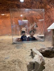 -酷嗒动物文化乐园(cutezoo西溪乐天城店)