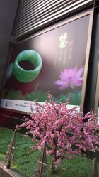 -中国黄金(北京旗舰店)