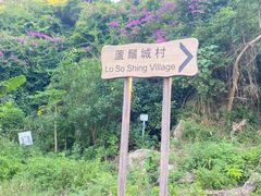 -南丫岛