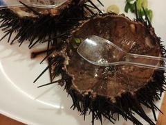 -海胆小馆(东北水饺·春柳店)