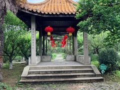 -雨花胜境