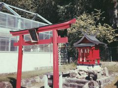 -奈良公园