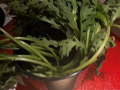 -晓宇重庆火锅(西安荟聚店)