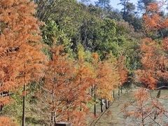 -天目湖山水园