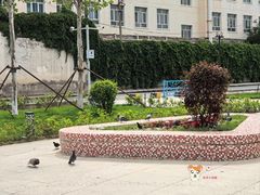 -伊犁老城喀赞其民俗旅游区