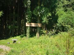 -武陵山森林公园