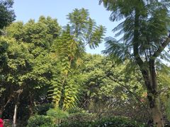 -重庆平顶山公园