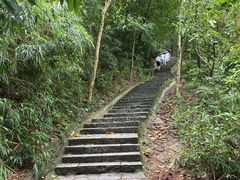 -火炉山森林公园