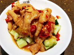 -蛙喔牛蛙(高新绿宝店)