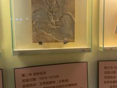 -辽宁古生物博物馆