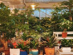 -双季花艺园艺市场(浦东店)