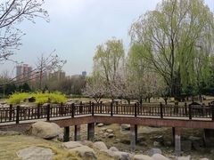 -莲花池公园