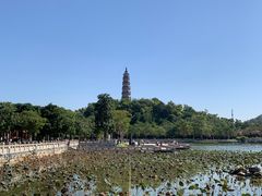 -顺峰山公园