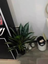 -汐月Health纤体spa中心