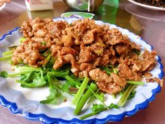 -赵氏牛肉罩火烧