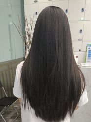 -YESIDO椰岛造型
