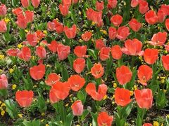 -东平国家森林公园