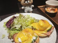 经典班尼迪克蛋-即興ADLIB(退化公园店)