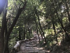 -阳台山自然风景区