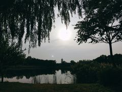 -永定河休闲森林公园