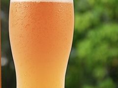 扎啤-黄记煌三汁焖锅(顺义华联店)