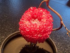 -大拙里·精致融合菜(沙湖桃源国际店)