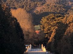-清东陵